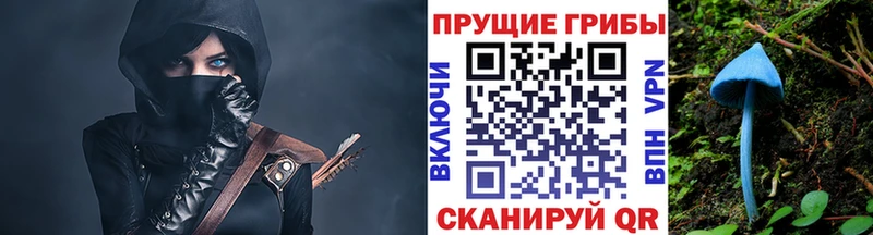 Галлюциногенные грибы мицелий  Дербент 