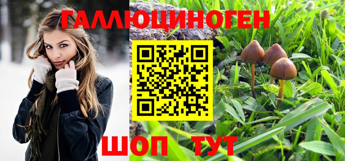 Псилоцибиновые грибы MAGIC MUSHROOMS  Псилоцибиновые грибы MAGIC MUSHROOMS  Дербент 